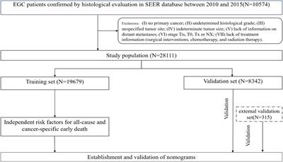 A predictive model for early death in elderly colorectal cancer patients: a population-based study